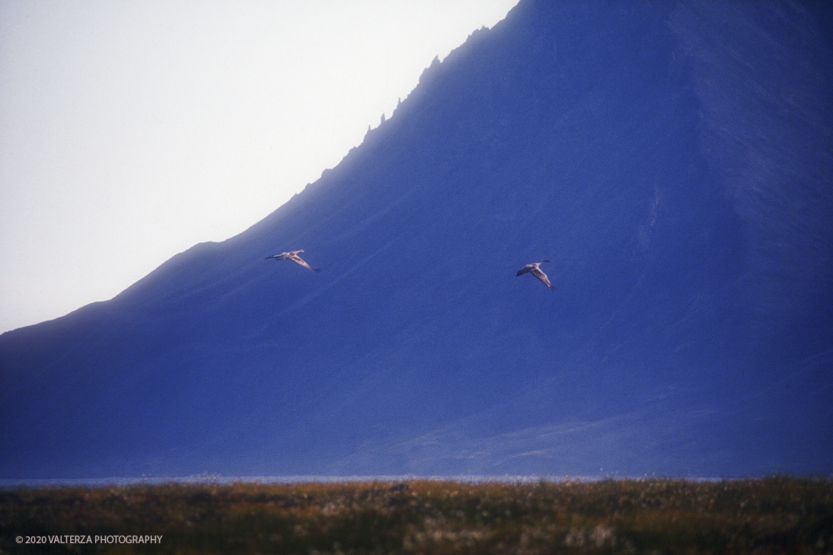 18 SIBERIA.jpg - Luglio/Agosto 1992. Siberia, terra dei Chukchi. Nell'oceano artico  125 Km a nord-est della penisola dei Chukchi (Siberia) c'Ã¨  l'isola di Wrangel, essa ospita piÃ¹ del doppio di specie vegetali (417) di qualsiasi territorio artico a paritÃ  di superficie nonchÃ¨ 30 specie diverse di uccelli oltre ad orsi polari, foche e trichechi ; per questo motivo   Ã¨ stata proclamata patrimonio dell'umanitÃ  dall'UNESCO. Nella foto Baia del golfo di Providenja, base di partenza del viaggio in nave per la meta finale, l'isola di Wrangel.